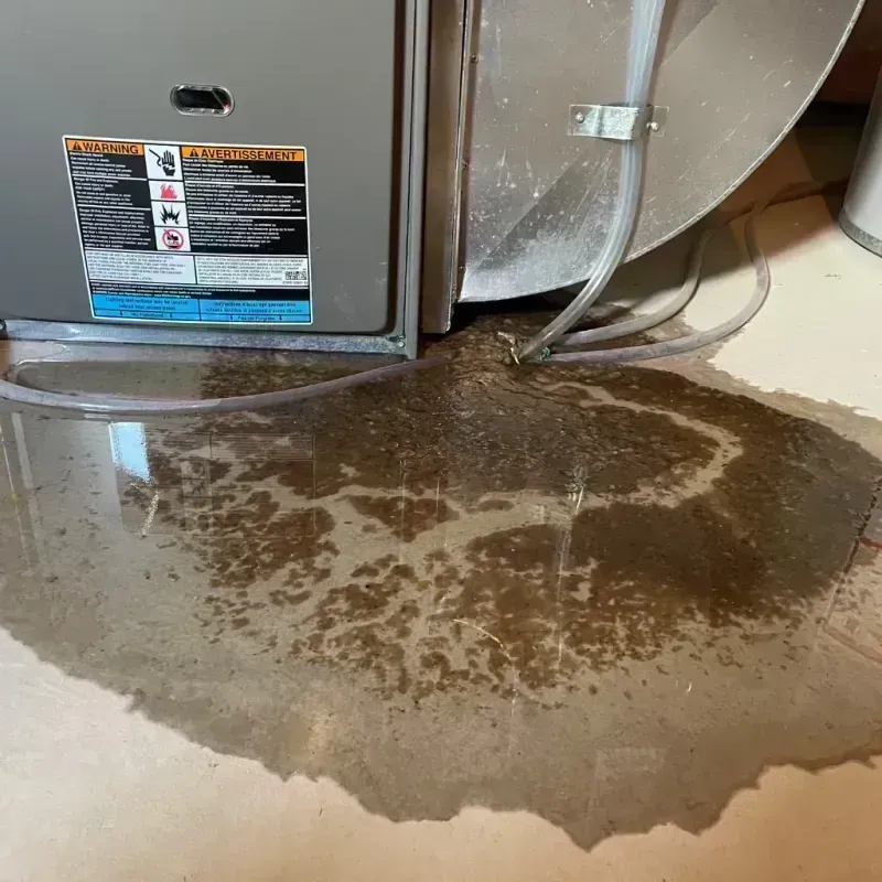 Appliance Leak Cleanup in Birmingham, AL